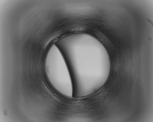 X0000102520735200808081029