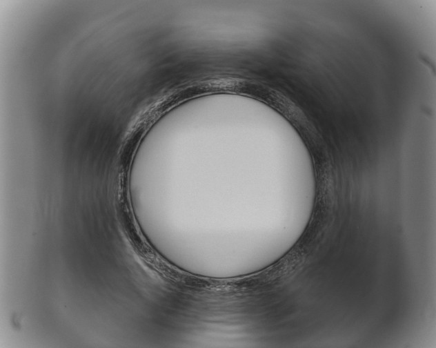 X0000102520736200808081029