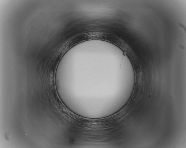 X0000102520737200808081029