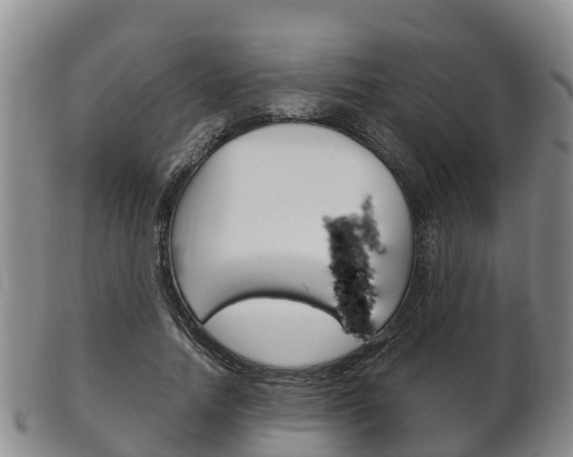 X0000102520738200808081029