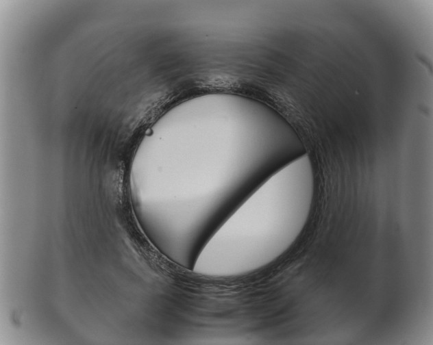 X0000102520739200808081029