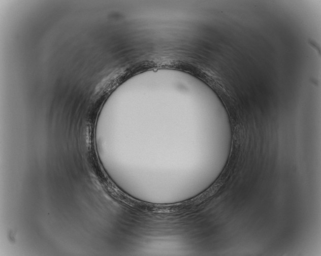 X0000102520740200808081029
