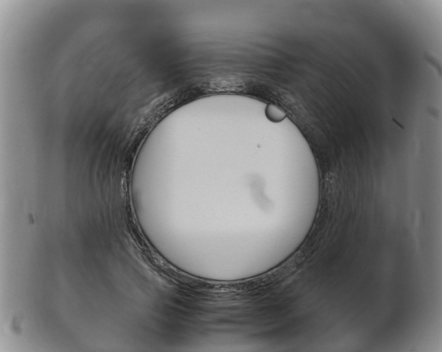 X0000102520741200808081029