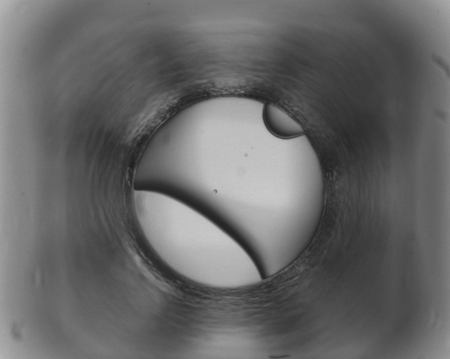 X0000102520742200808081029