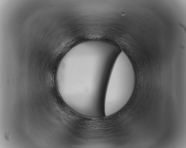 X0000102520743200808081029
