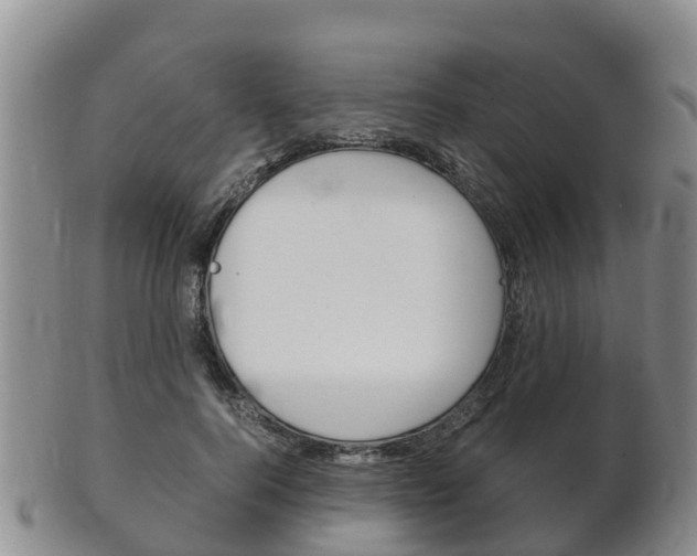 X0000102520744200808081029