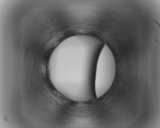 X0000102520746200808081029