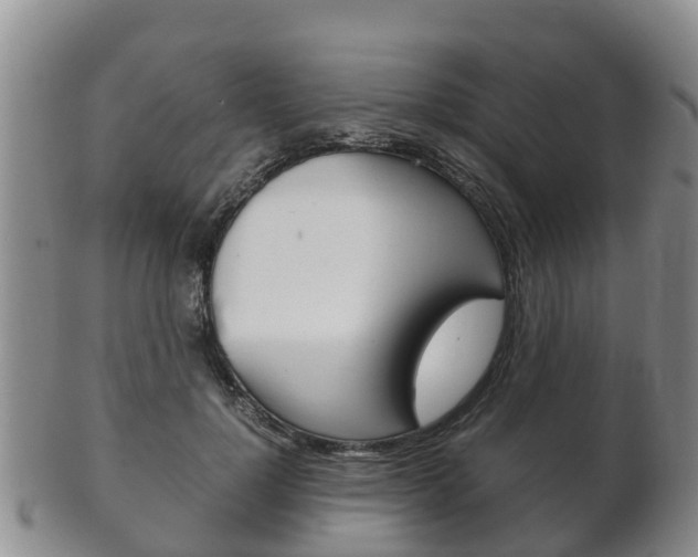 X0000102520748200808081029