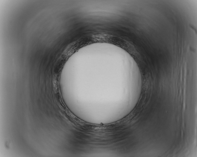 X0000102520749200808081029