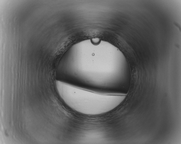 X0000102520750200808081029