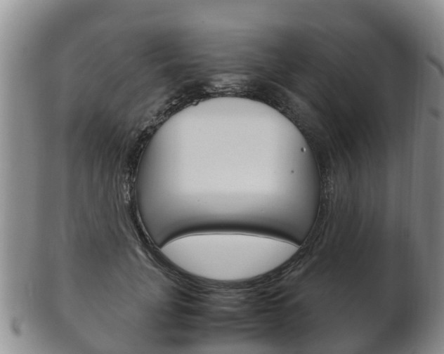 X0000102520751200808081029
