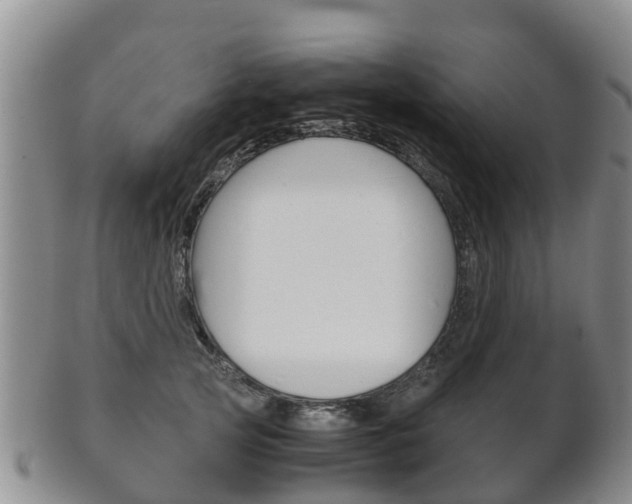 X0000102520753200808081029