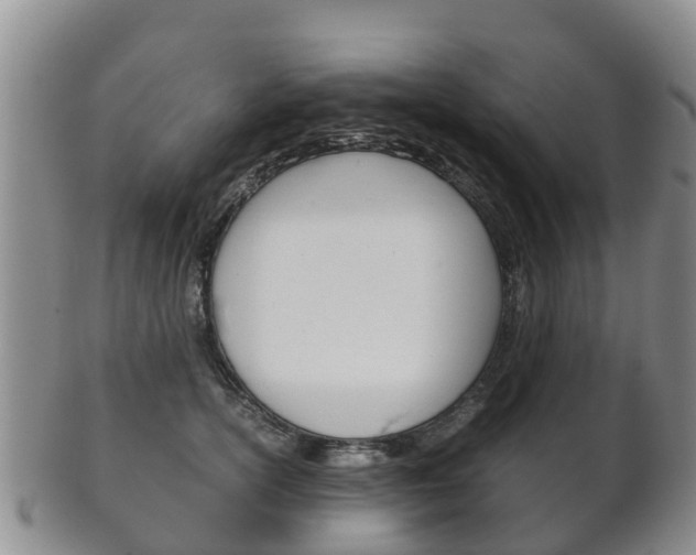 X0000102520754200808081029