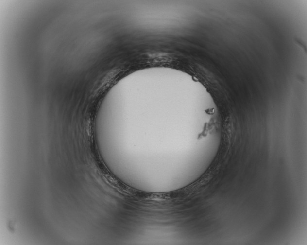 X0000102520756200808081029