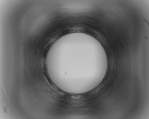 X0000102520757200808081029