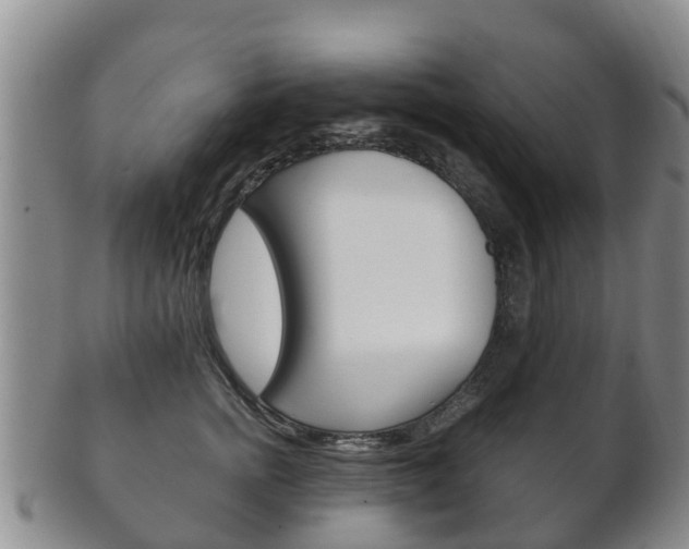 X0000102520758200808081029