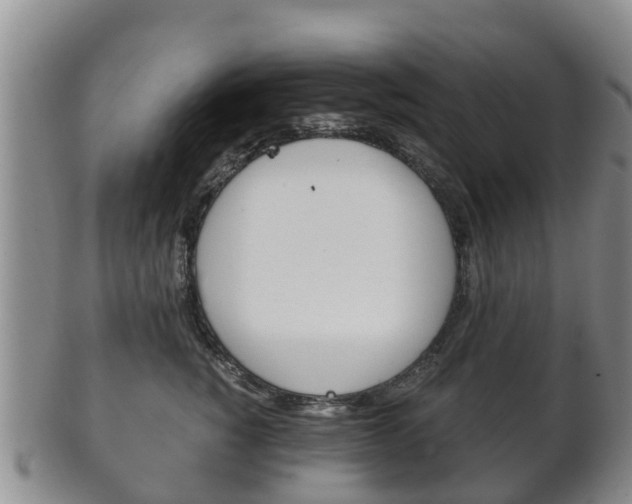 X0000102520760200808081029