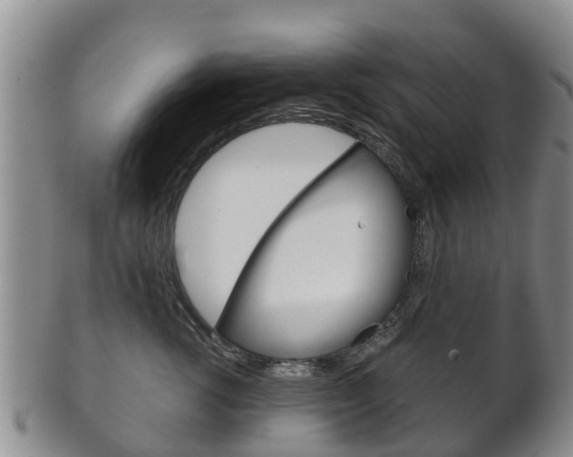 X0000102520762200808081029