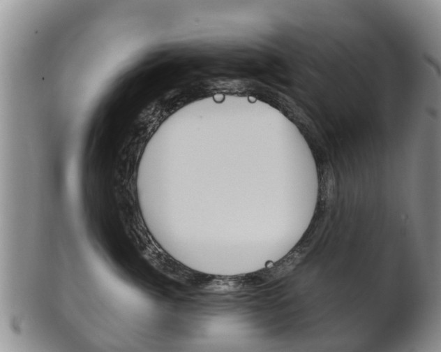 X0000102520764200808081029