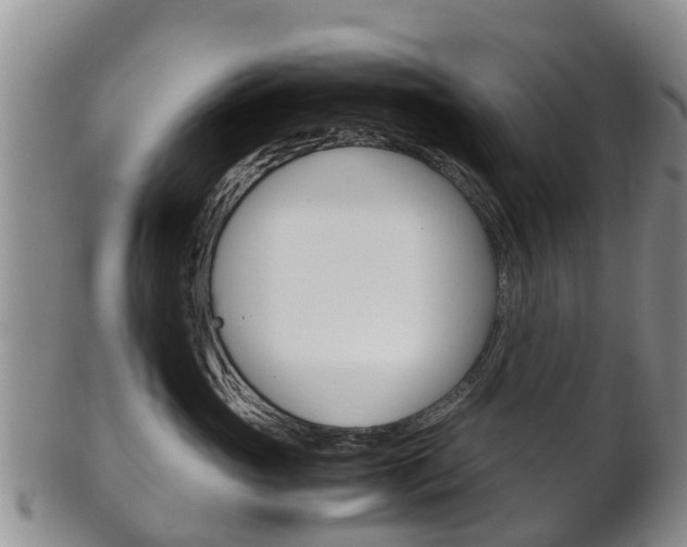 X0000102520765200808081029