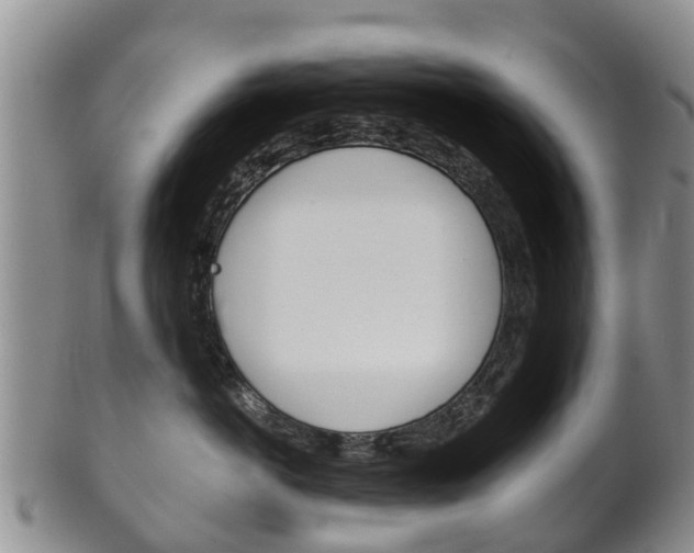 X0000102520766200808081029