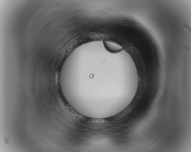 X0000102520767200808081029