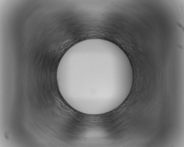 X0000102520768200808081029