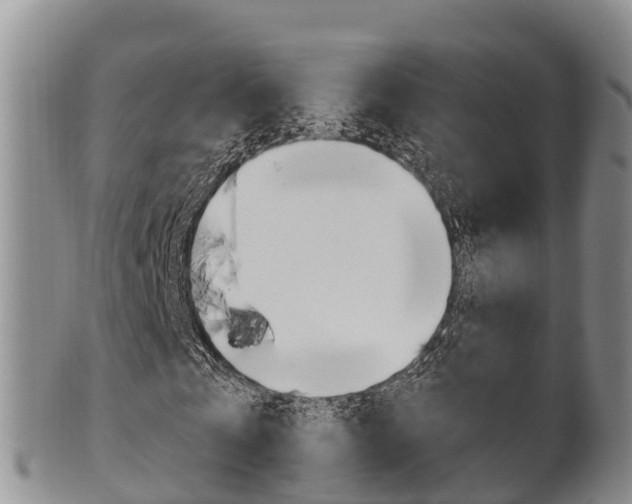 X0000102520769200808081029