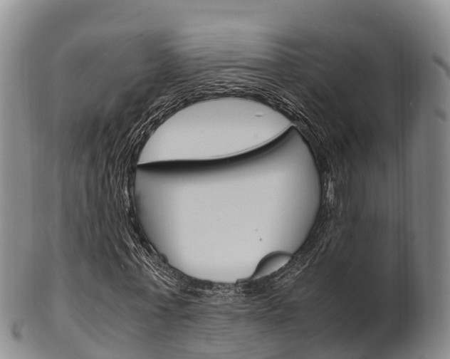 X0000102520771200808081029