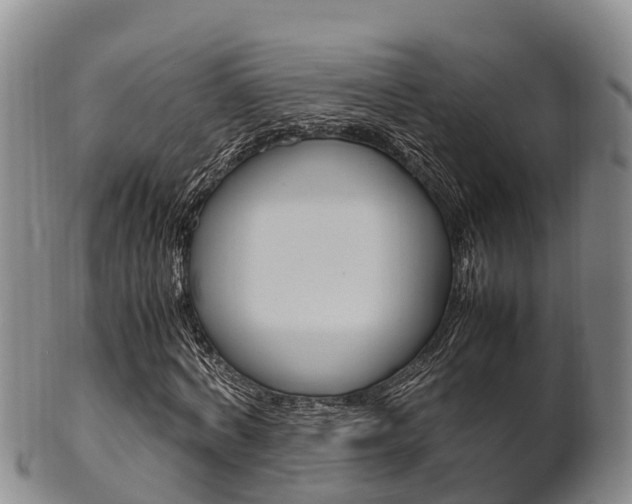 X0000102520772200808081029