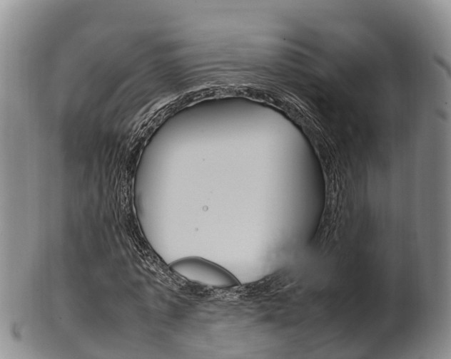 X0000102520773200808081029