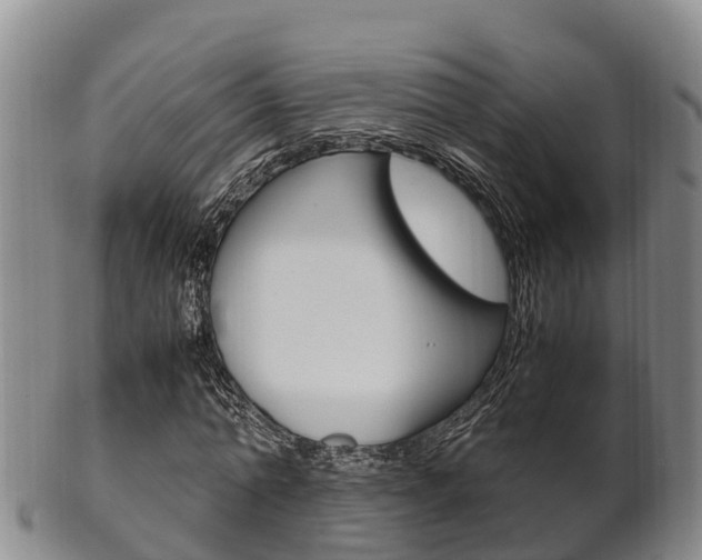 X0000102520774200808081029