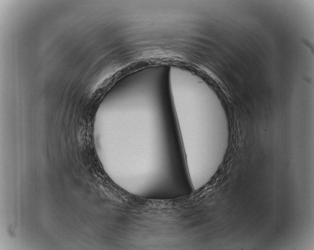 X0000102520775200808081029