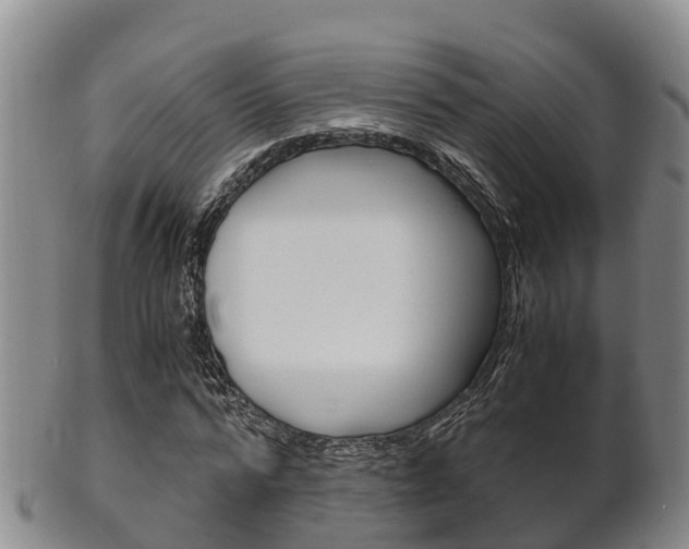 X0000102520776200808081029