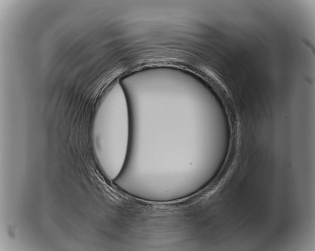 X0000102520777200808081029