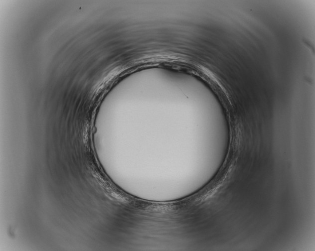 X0000102520778200808081029