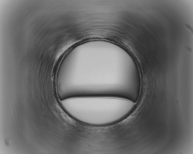 X0000102520779200808081029