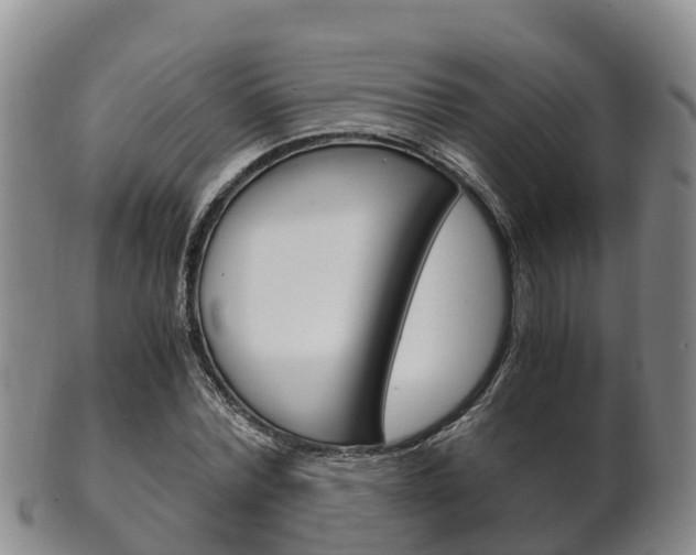 X0000102520780200808081029