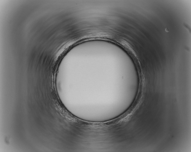 X0000102520781200808081029