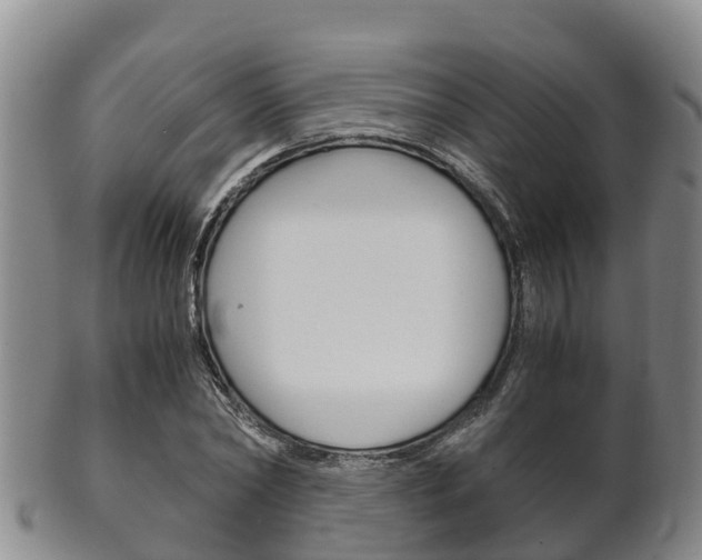 X0000102520782200808081029