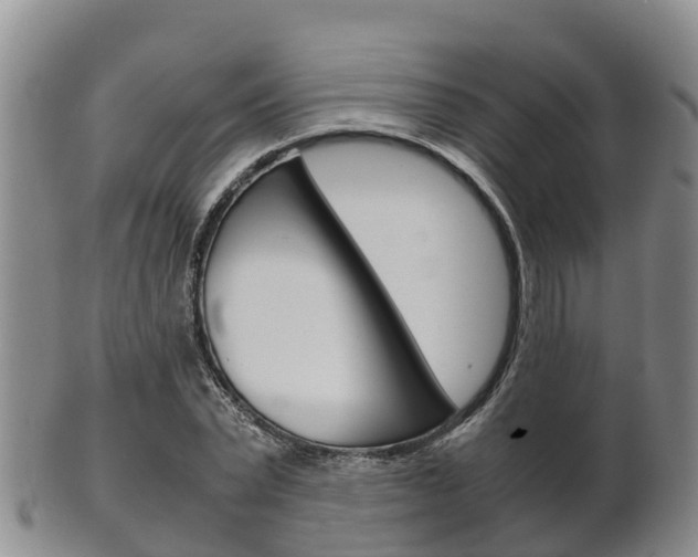 X0000102520783200808081029