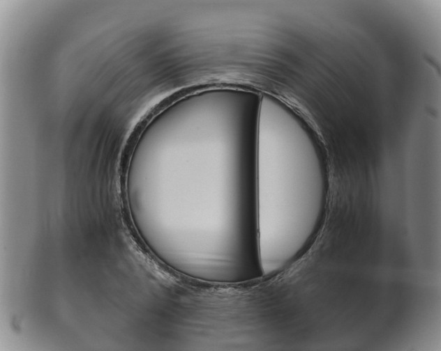 X0000102520784200808081029