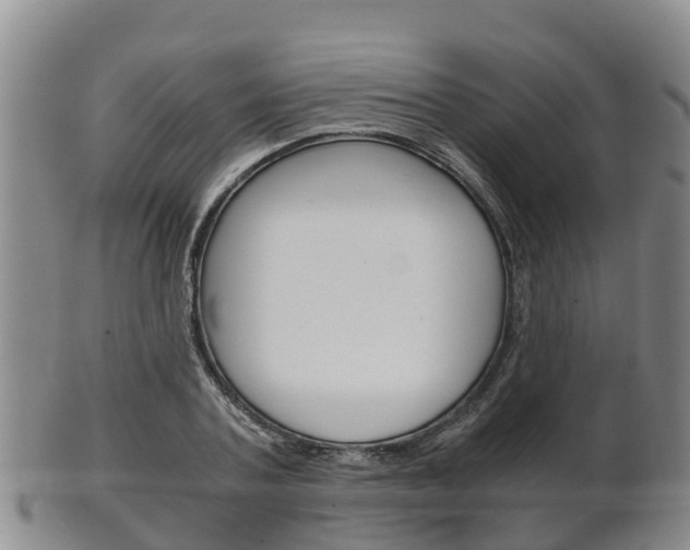 X0000102520787200808081028
