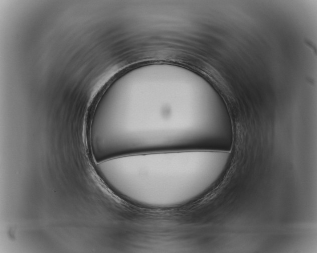 X0000102520788200808081028