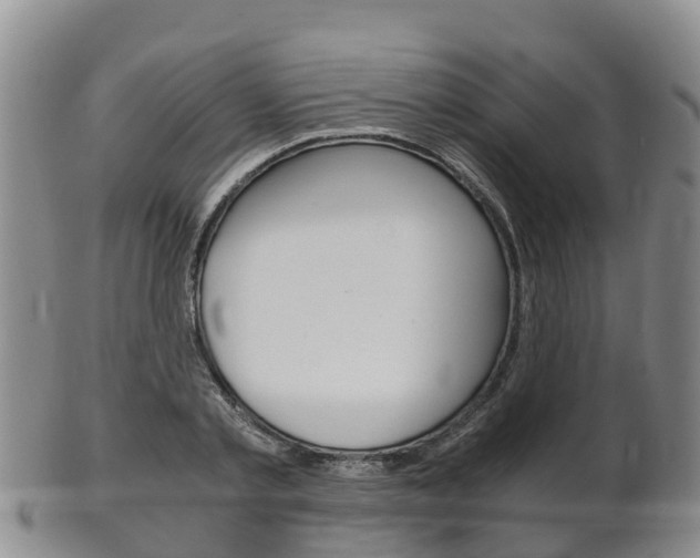 X0000102520789200808081028