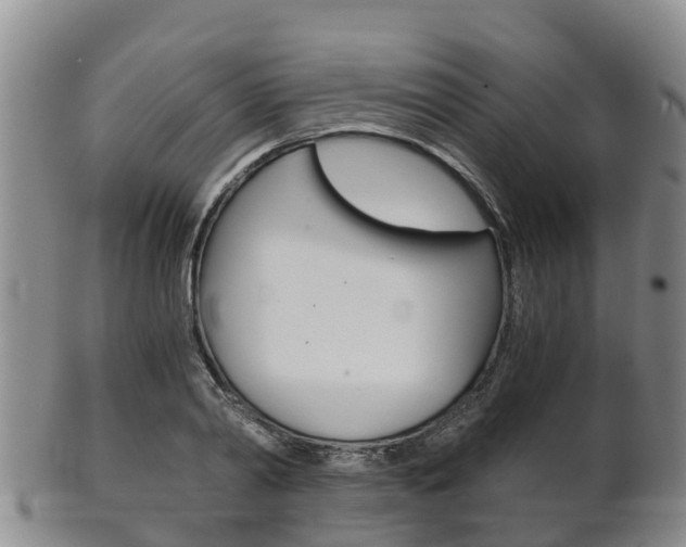 X0000102520790200808081028
