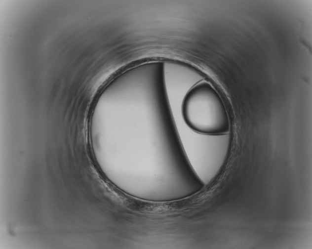 X0000102520791200808081028