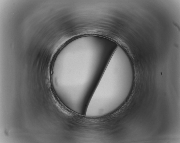X0000102520792200808081028