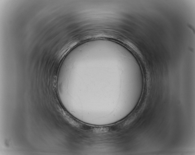 X0000102520793200808081028