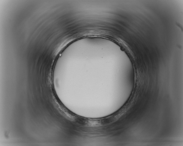 X0000102520794200808081028